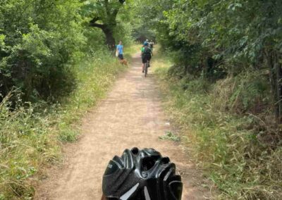 Biciclettata al Parco della Caffarella - Maggio 2024